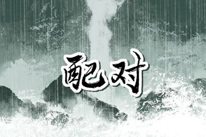 血型配对（民俗参考）